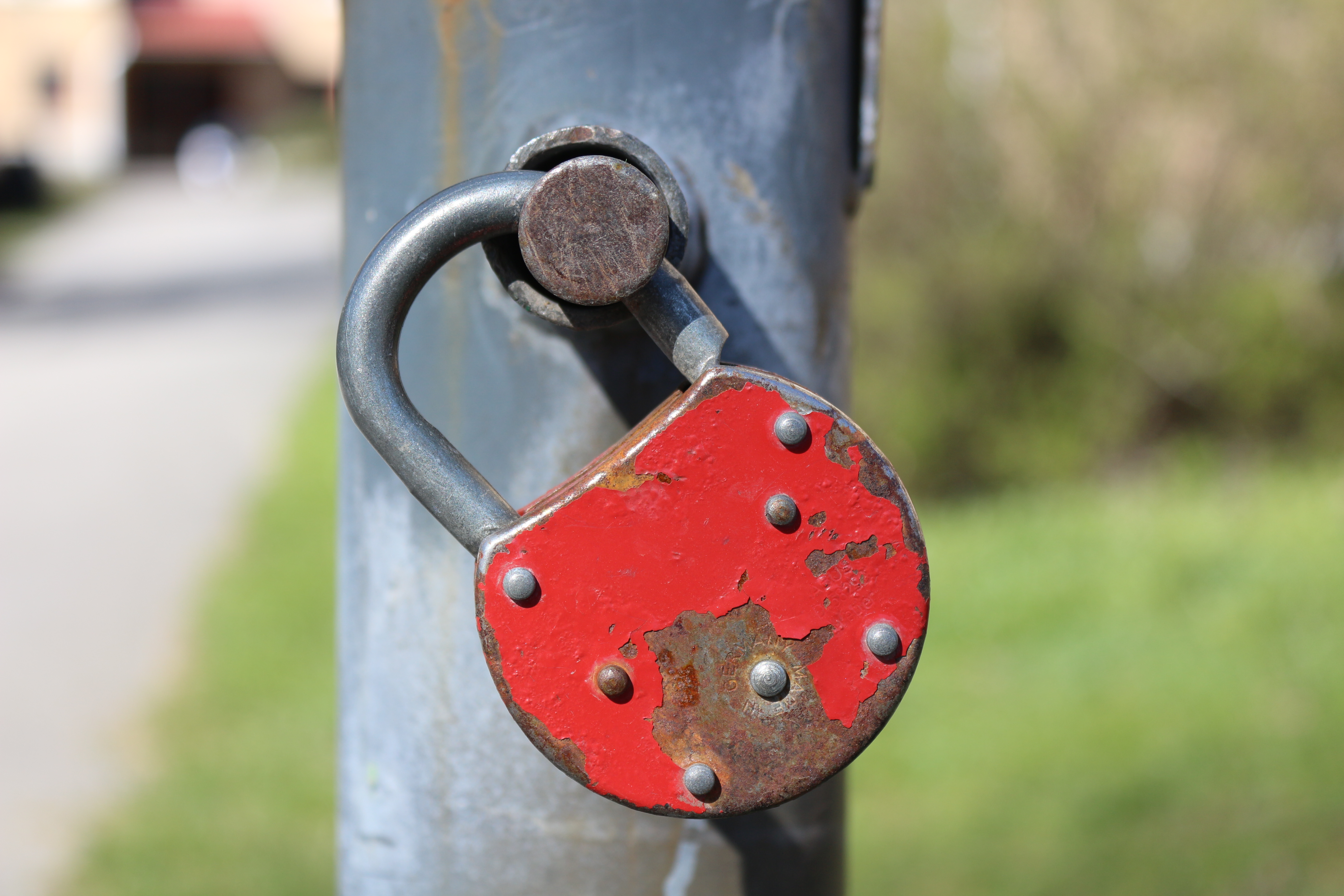A padlock photographed outdoors, symbolizing the breached credentials people need to check
